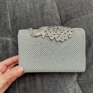 Evening silver clutch